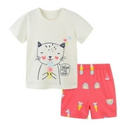 Toddler Boy Short Sleeve Prints T Shirt Tops Shorts Child Kids 2Pc Set Outfits Clothes Clothing Sets,Size 5 Years-6 Years